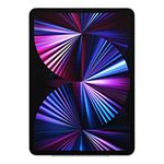 iPad Pro 12.9 (2021)